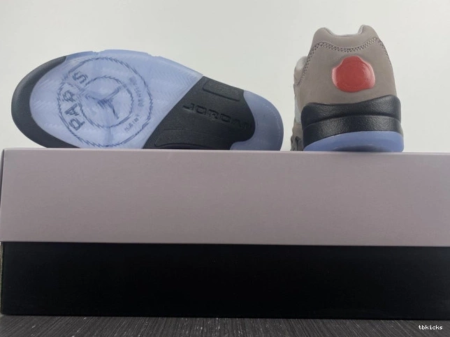 Reps TBK Jordan 5 Low DX6325-204 x PSG Air 0727
